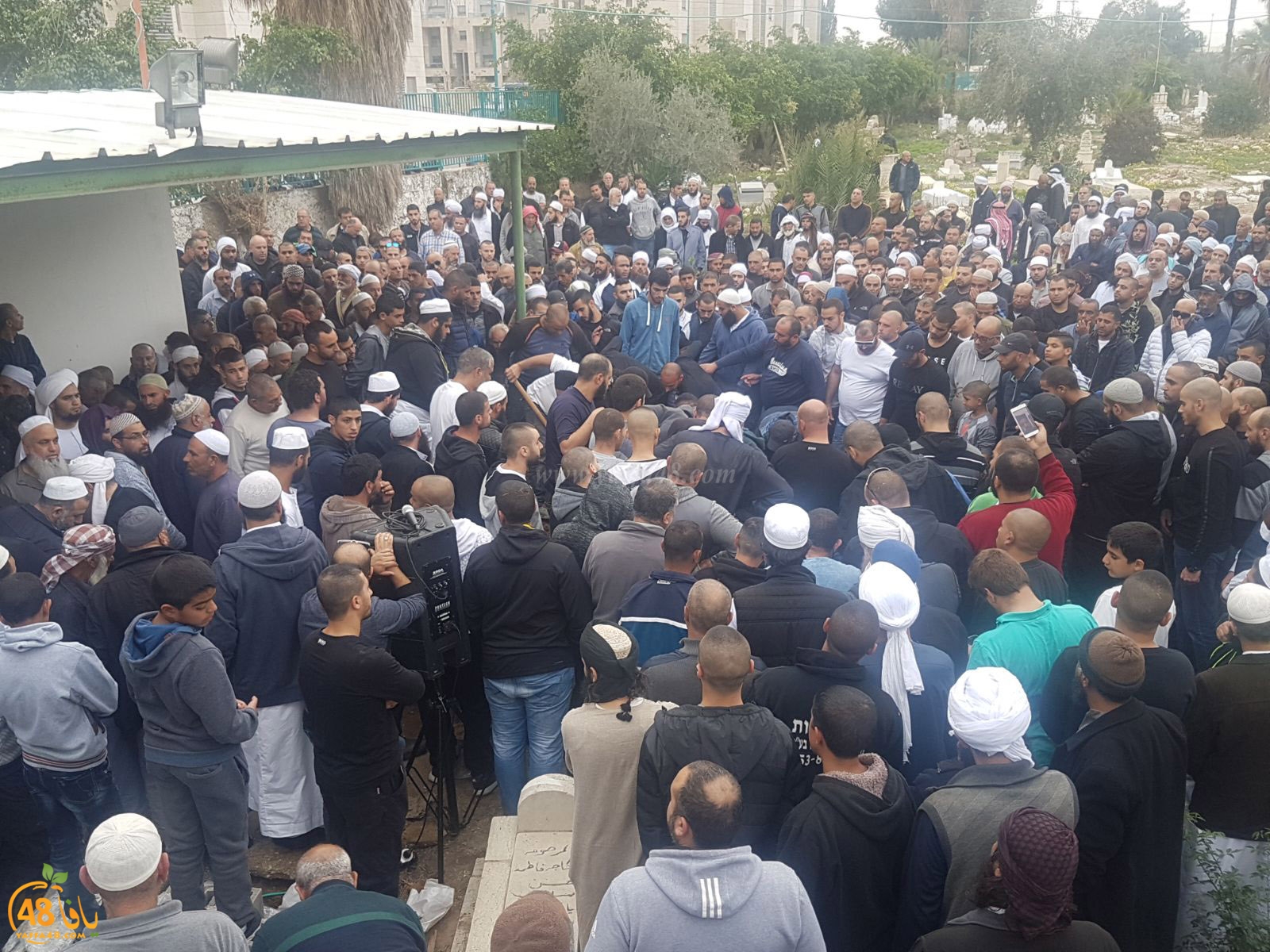 tasheeye3 om mhmoud (22).jpg